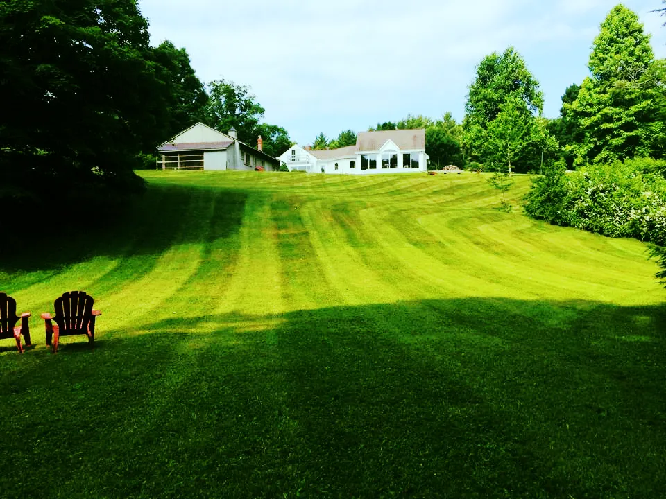 Grass Roots Landscaping researched project photo