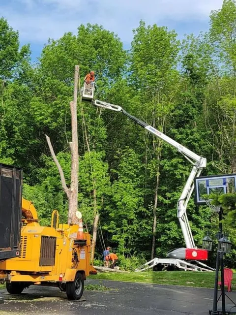 work photo from webstertree.net
