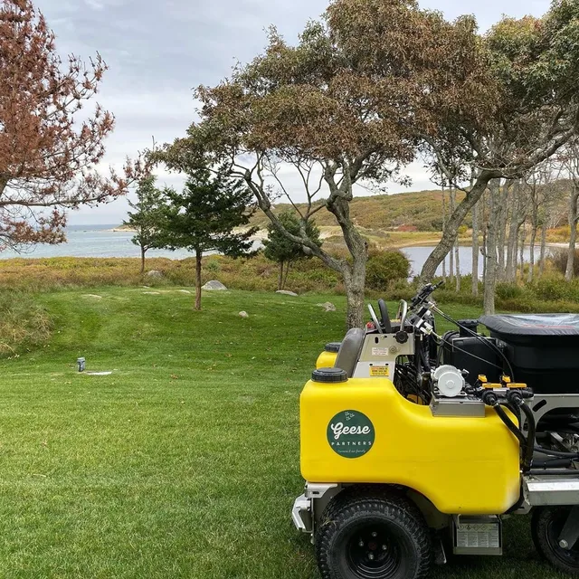 Geese Partners LLC - Goose Control Martha's Vineyard & Cape Cod work photo