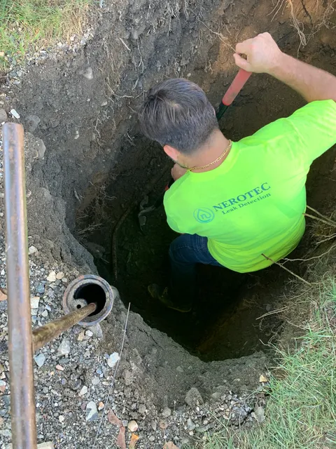 Nerotec LLC work photo