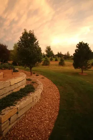 Tree Trimming | Carroll Lawn Care