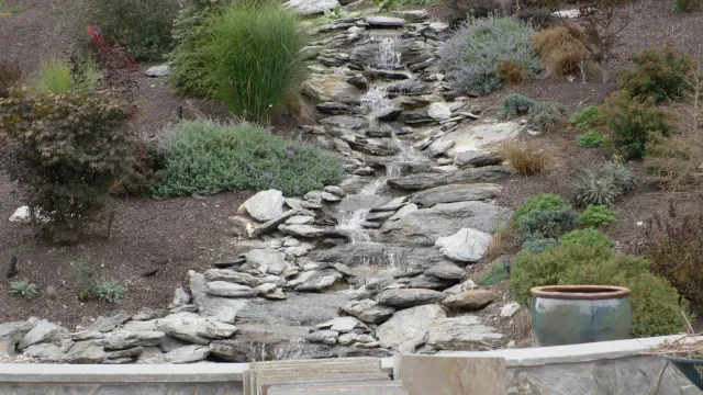 SDC10374.JPG