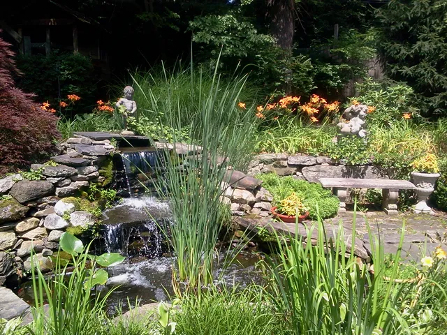 Candide Landscaping & Pond work photo