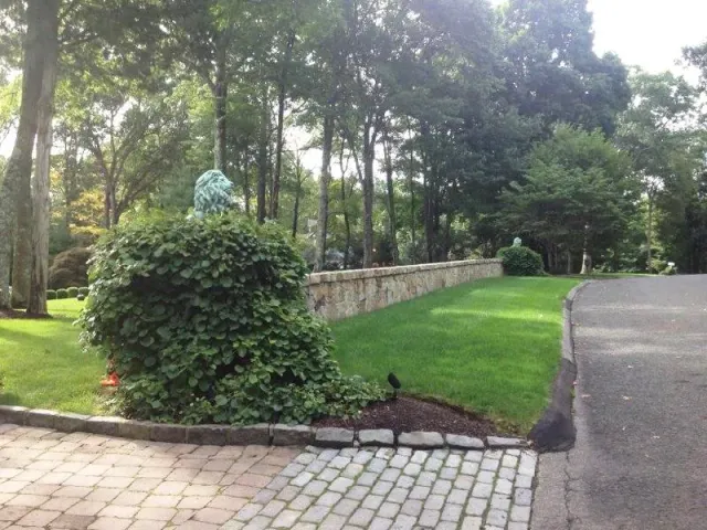 Lawn Maintenance