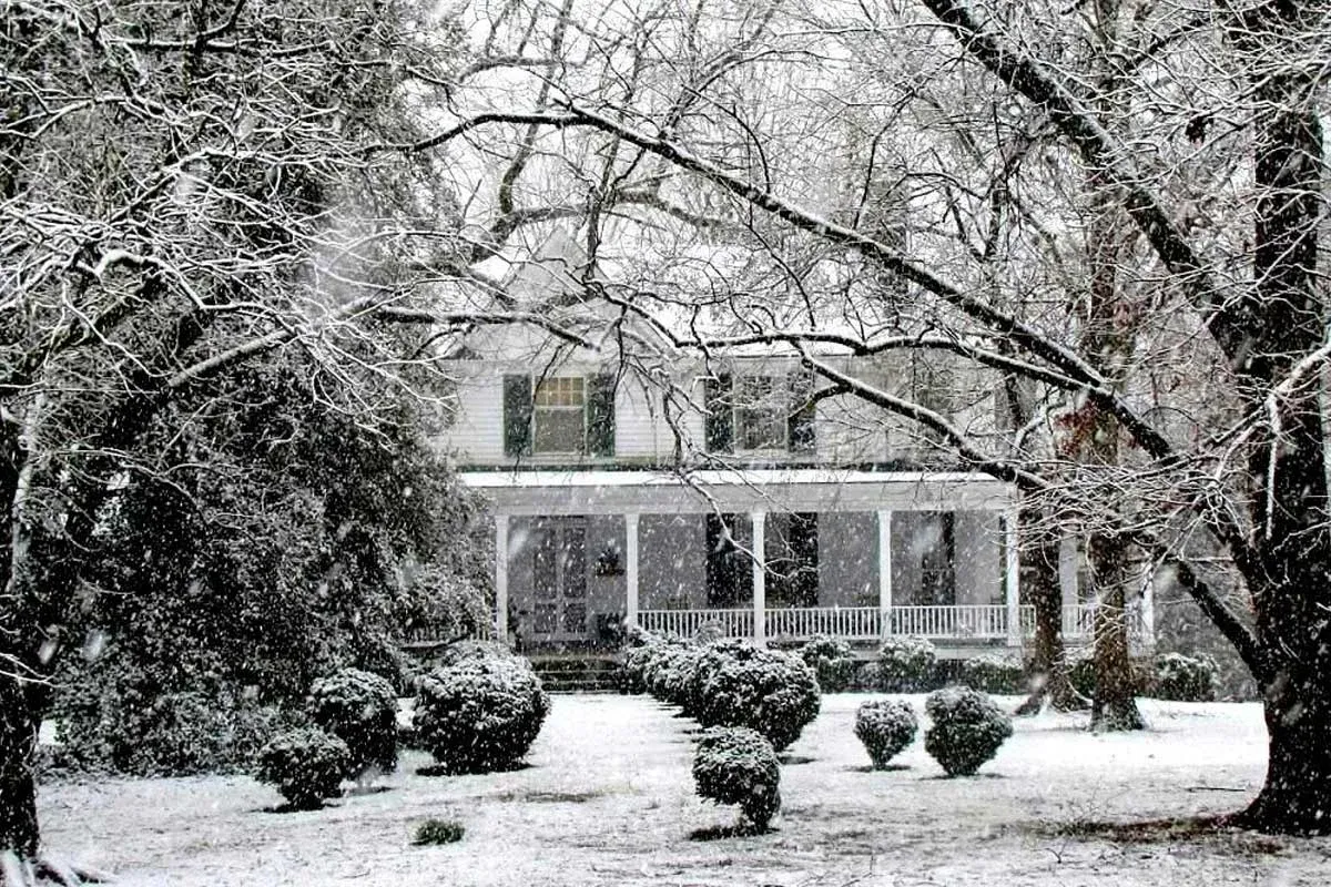 SNOW MANAGEMENT >