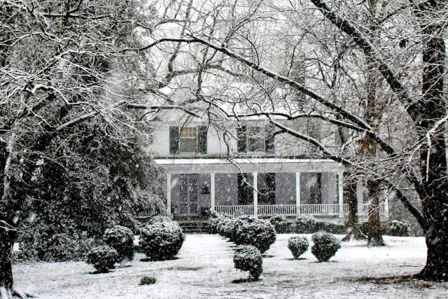 SNOW MANAGEMENT >