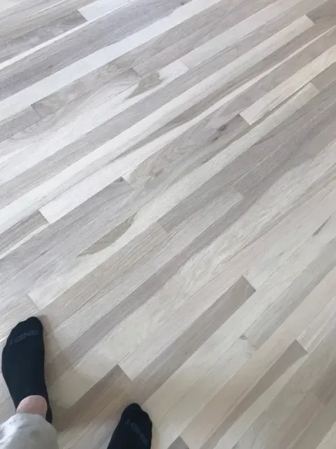 North Country Hardwoods 5