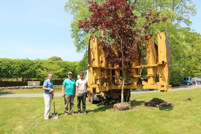 Largess Forestry Inc. work photo