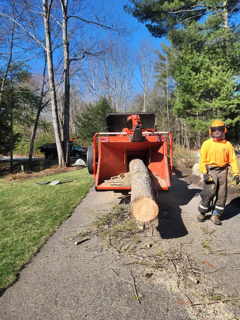 Girard Yard Service work photo