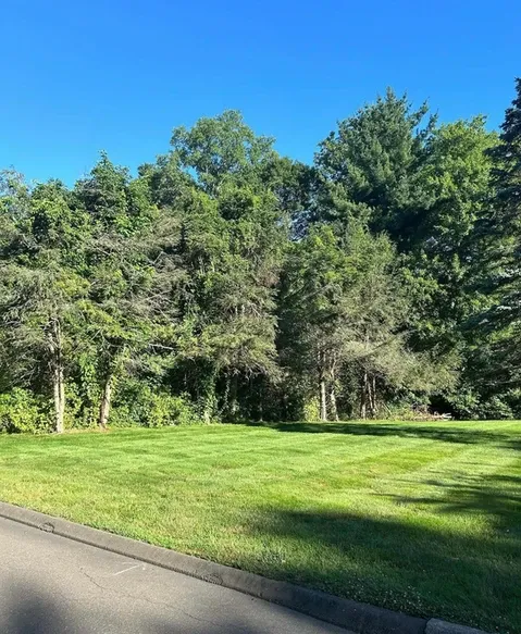 work photo from pristinelandscapesolutions.com
