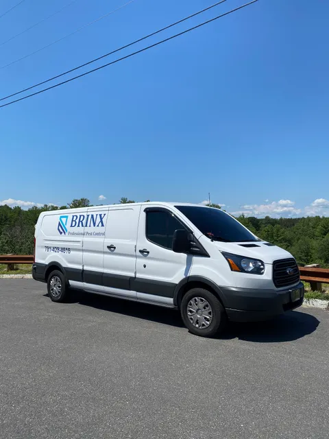 Brinx Professional Pest Control work photo