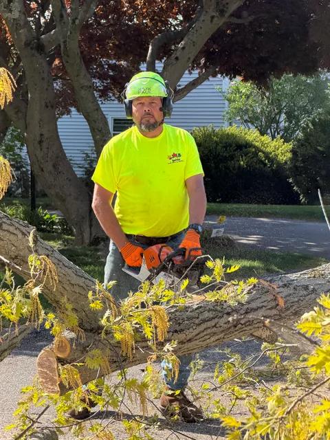 Acer Tree Service LLC work photo
