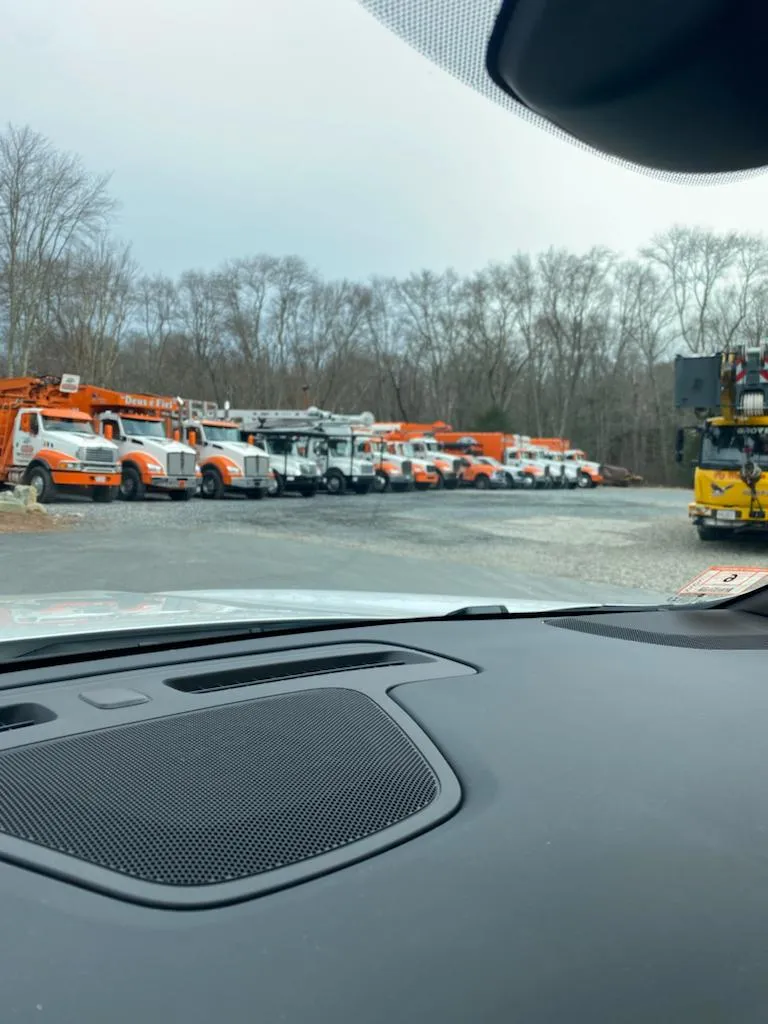 work photo from walnuttreeservice.com