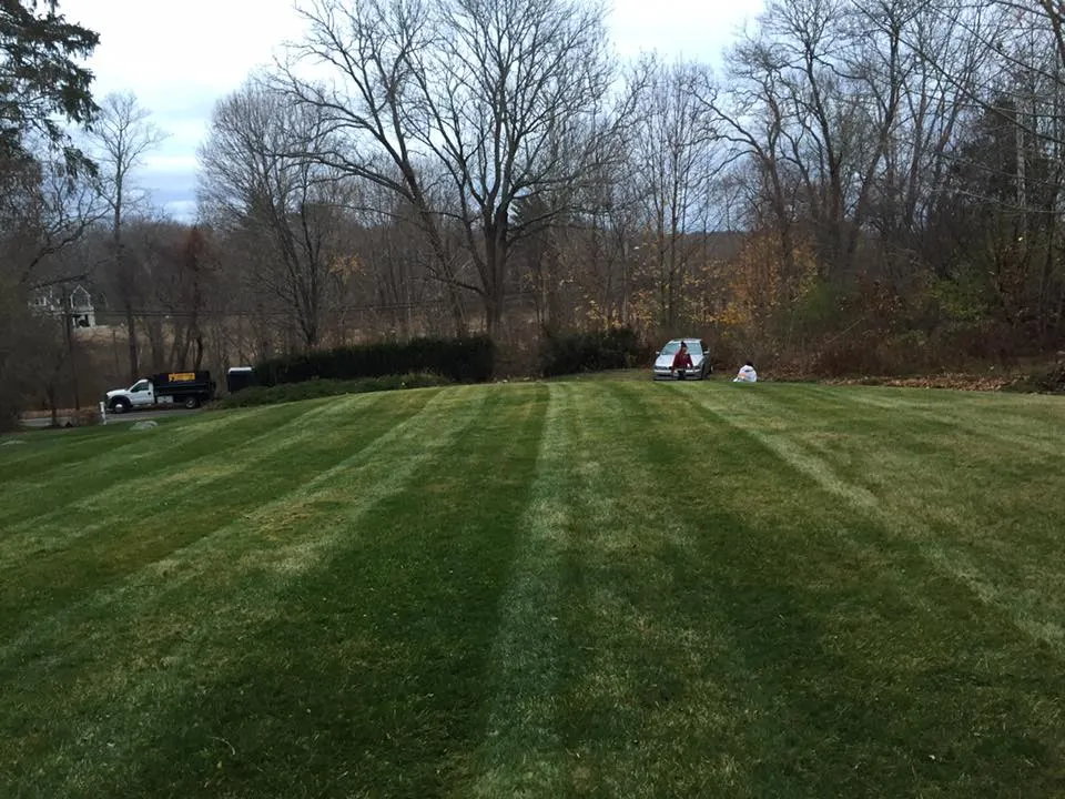 Bay View Landscaping