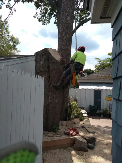 work photo from 207landscaping.com