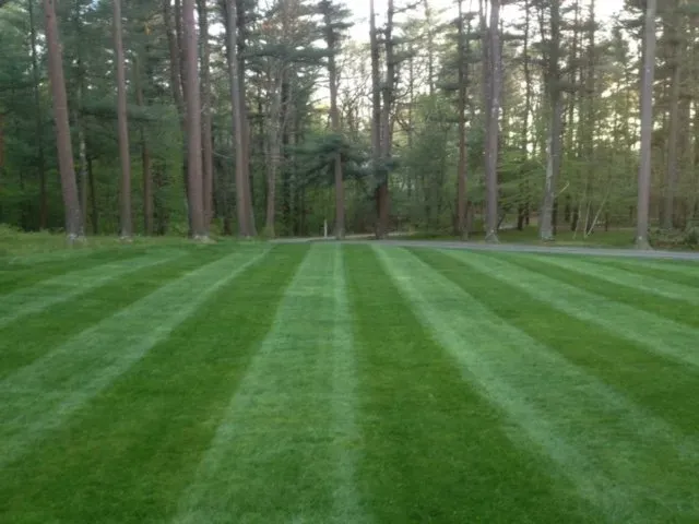 Landscape Service