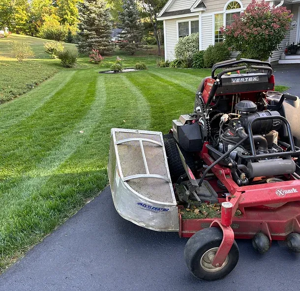Regal Lawn and Landscape work photo