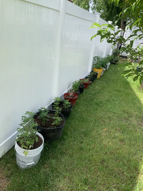White vinyl privacy fence installed on a Massachusetts residential property