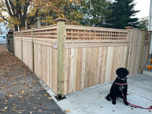 Sentry Fence & Iron Co work photo