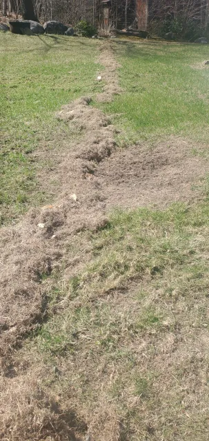 Patchy lawn with grass and bare spots