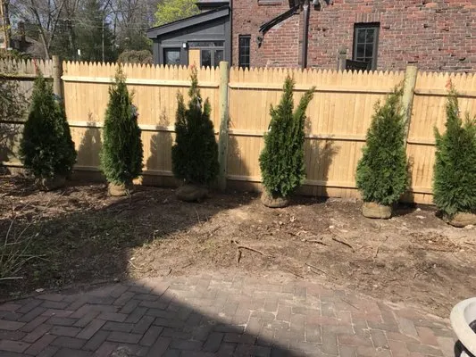 Sasha Landscaping researched project photo