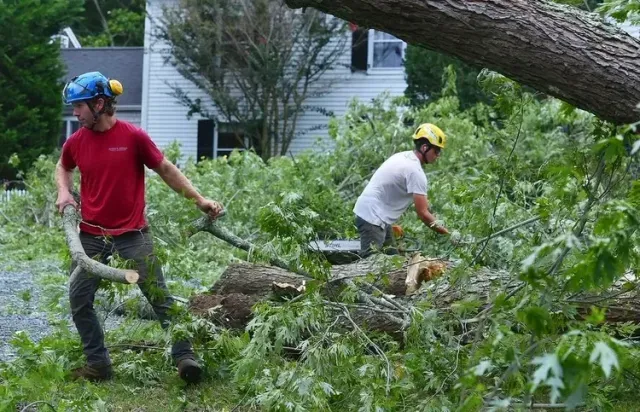 Two men wearing helmets and gloves cutting a fallen tree with a chainsaw in a backyard with green trees and a white house in the background.