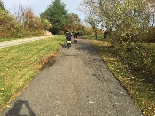 Residential Paving