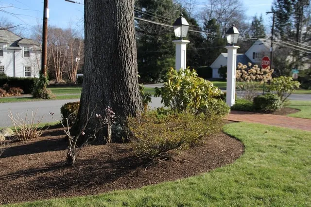 work photo from cataldolandscaping.com