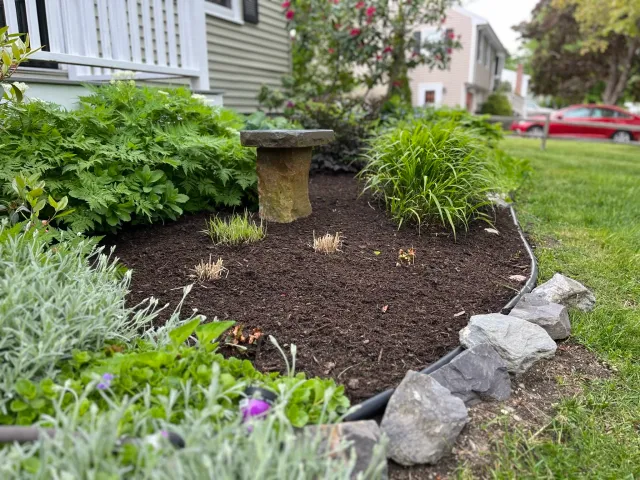 Garden bed with various plants and a small stone bench, bordered by rocks and located next to a grassy lawn and residential houses.
