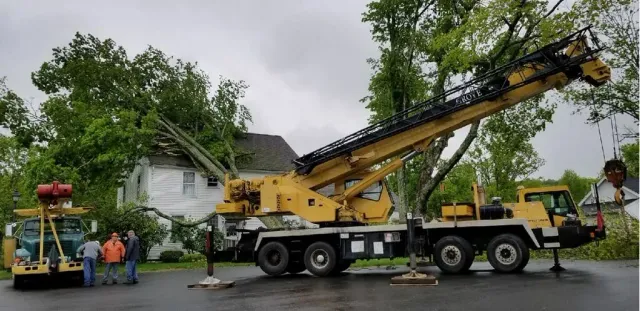 work photo from bobstreeservice.com