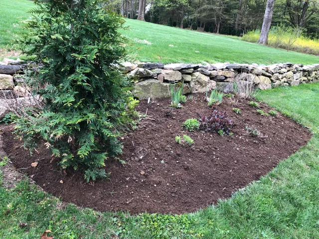 Aguilar Landscaping work photo