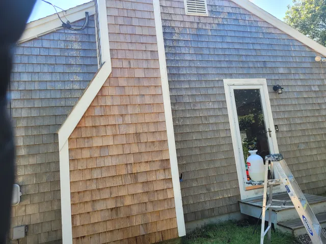 J.M. Riley Painting work photo