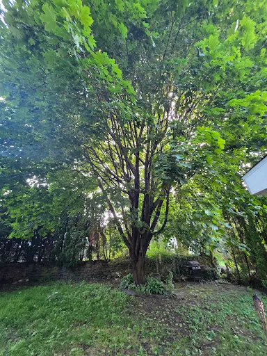 Review photo by andy cruz
