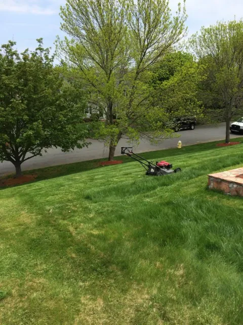 Gardner's Landscaping researched project photo
