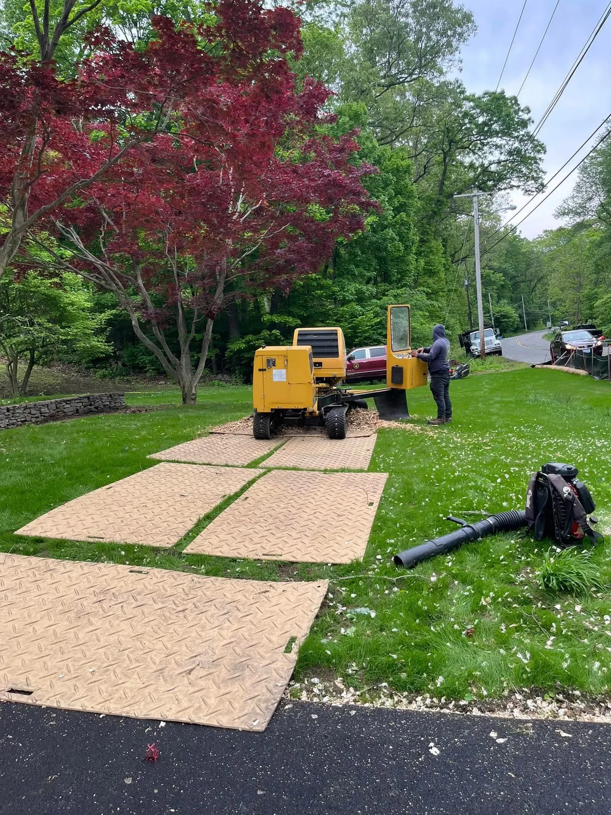 work photo from palmertreeservice.com
