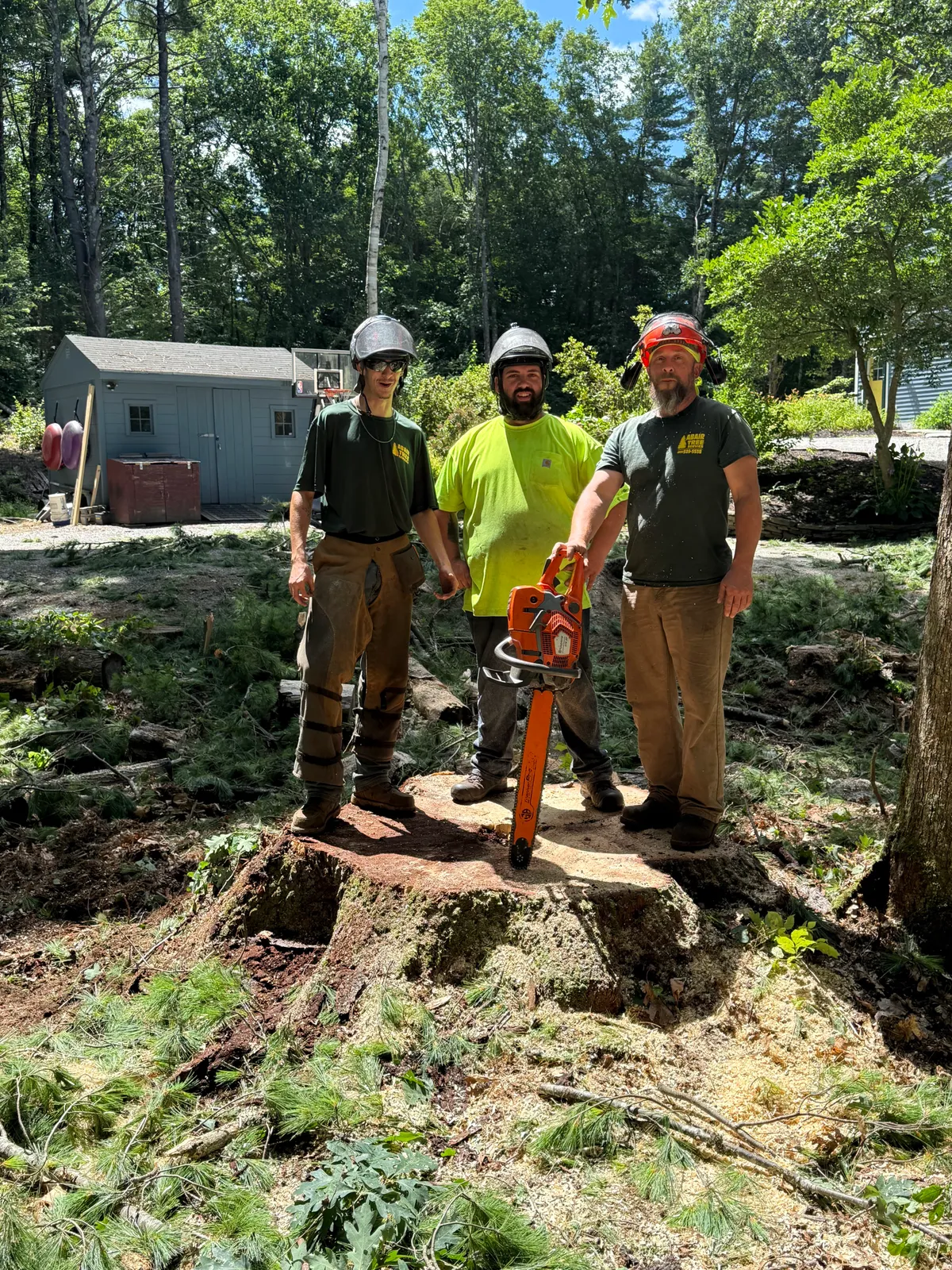 work photo from Google listing