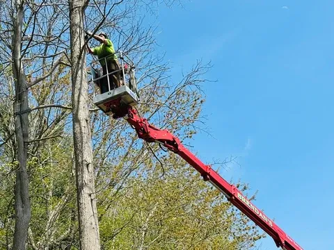 work photo from brendanslandscape.com