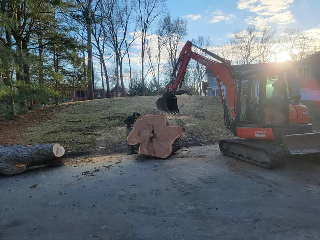 work photo from angelotreeservices.com
