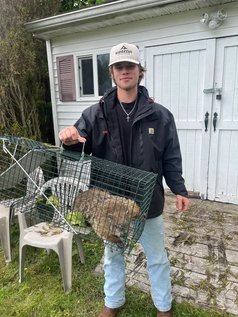 Floyd's Pest & Wildlife Control work photo
