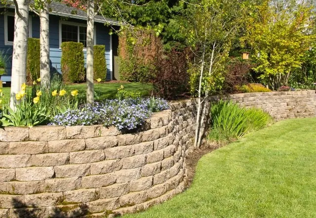 Camacho Lawns and Landscapes work photo