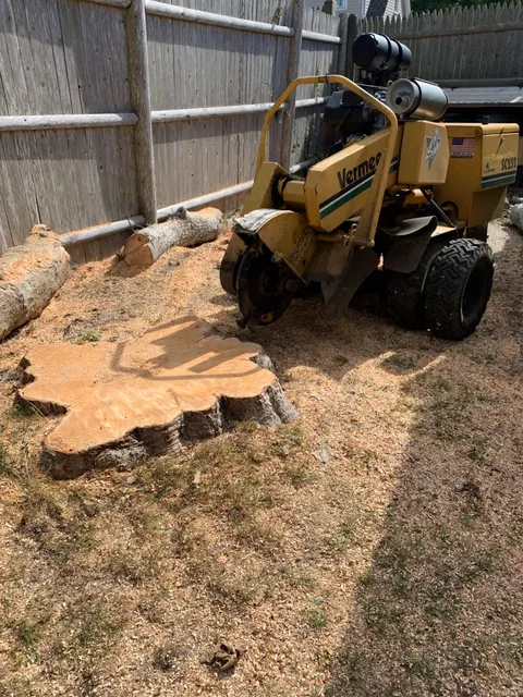 Stump Grinding Service work photo