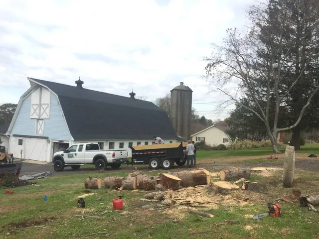 AJR Landscaping & Snow Removal LLC work photo