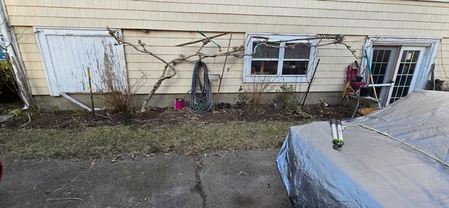 JL's Lawn care
