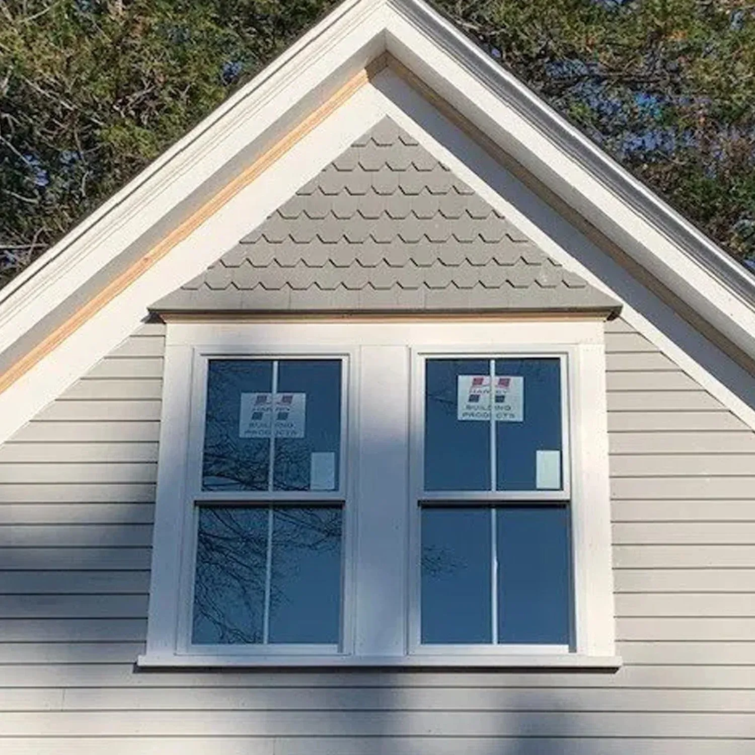 Windows.jpg