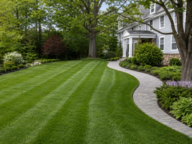 Freshly maintained green lawn with clean edges and established landscaping