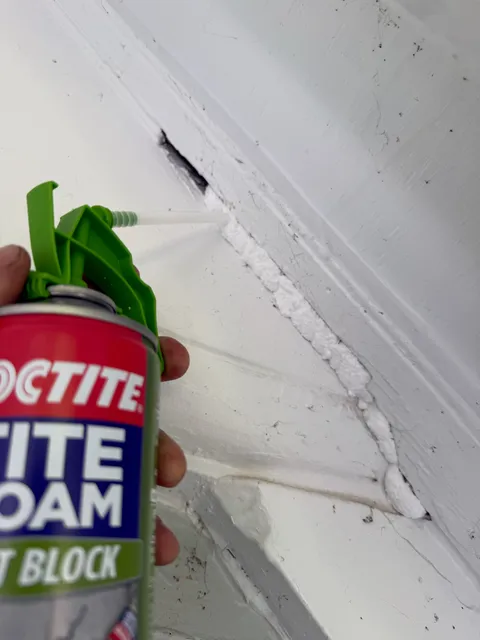 Pest block foam application along trim overhang gap