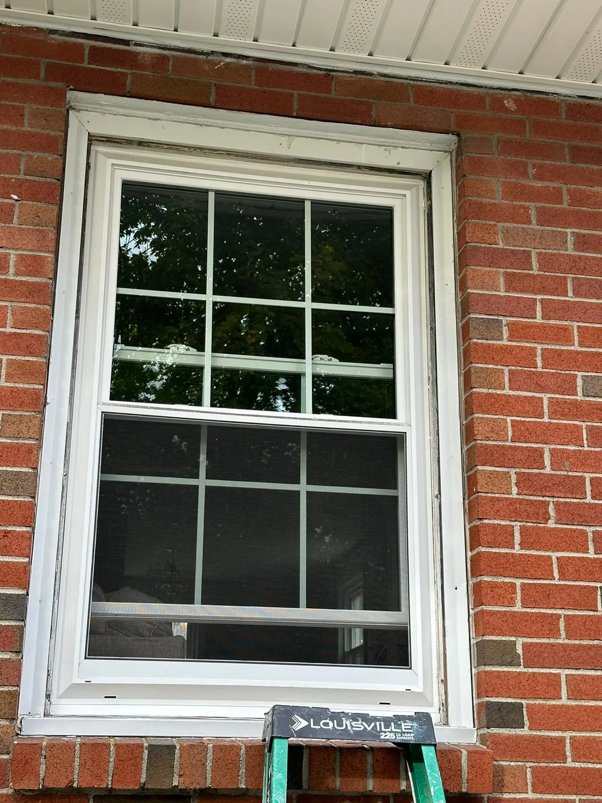 WL Pro Construction Inc
