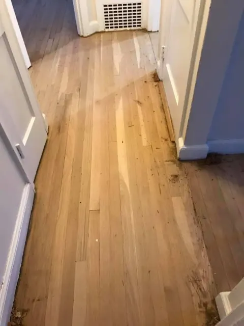 Wooden hallway with light-colored flooring. Visible damage along the edges and debris scattered.