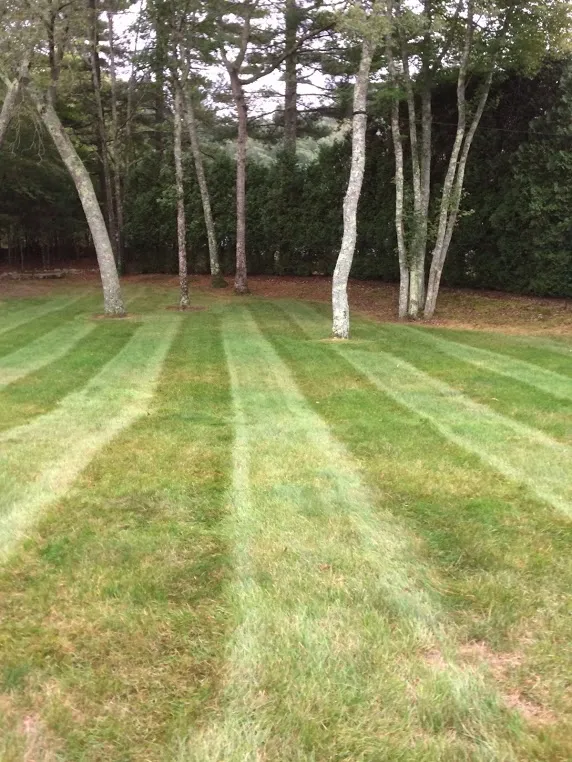 work photo from jesseslandscapingma.com