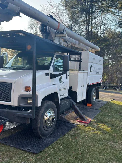 TJ TREE SERVICE work photo